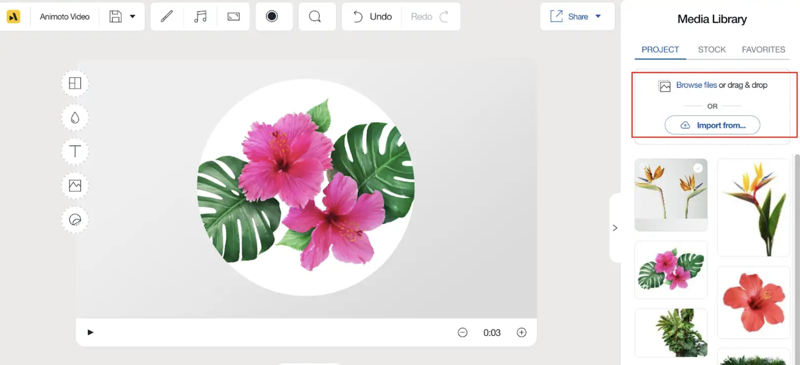 Media Library в Animoto с областью Browse files or drag & drop и загруженными изображениями