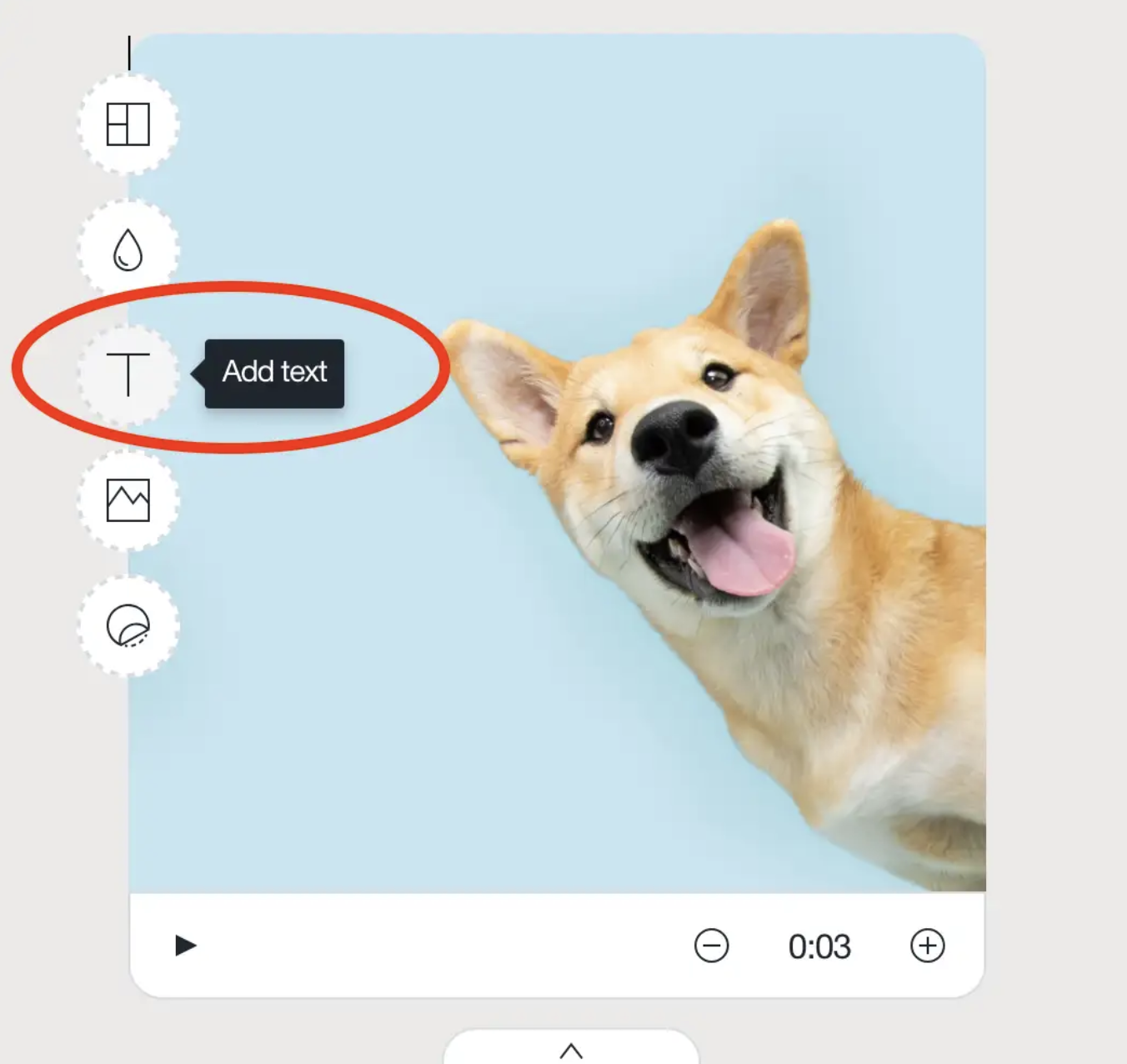 Кнопка Add text в боковой панели активного блока Animoto