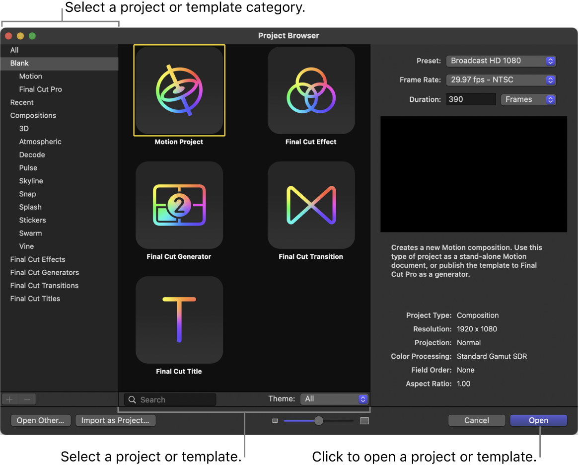 Project Browser Apple Motion с типами проектов и параметрами