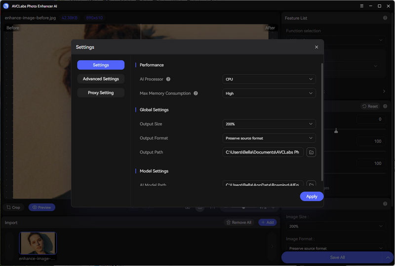 Окно Settings с AI Processor, Max Memory Consumption и путём моделей