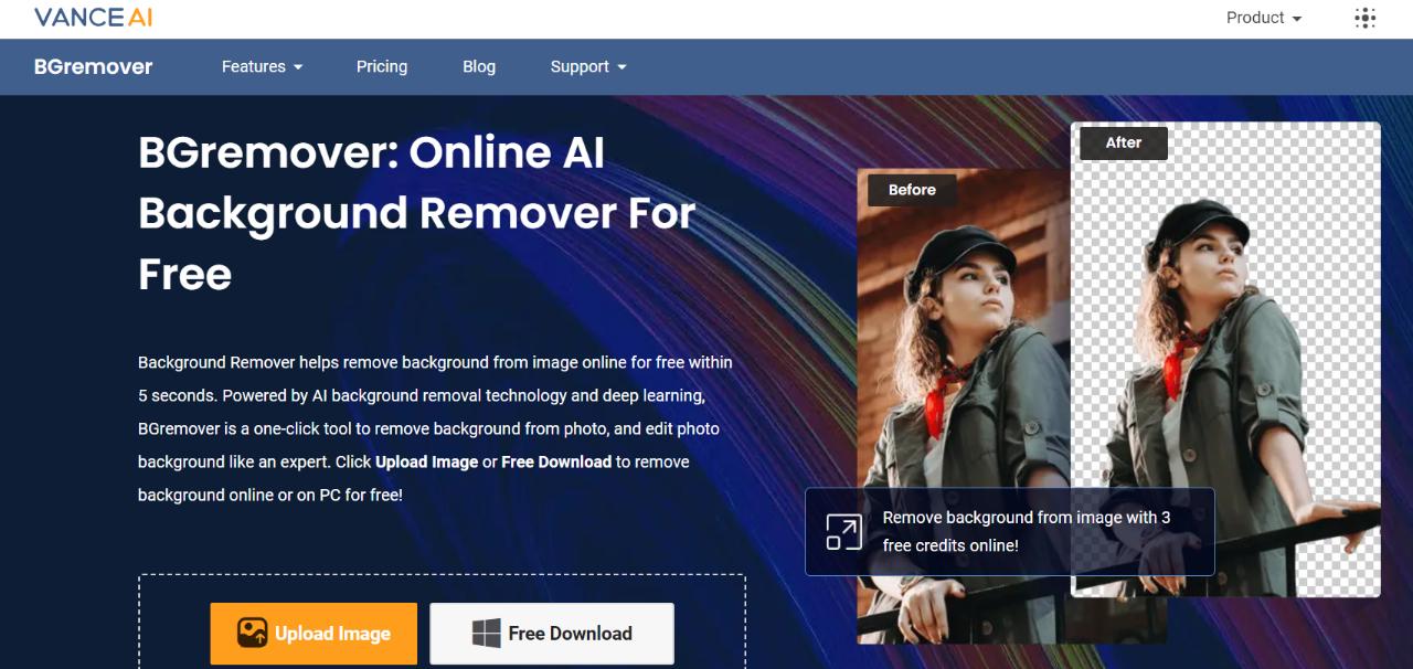 Главная страница BGremover с примером исходника и результата на прозрачном фоне