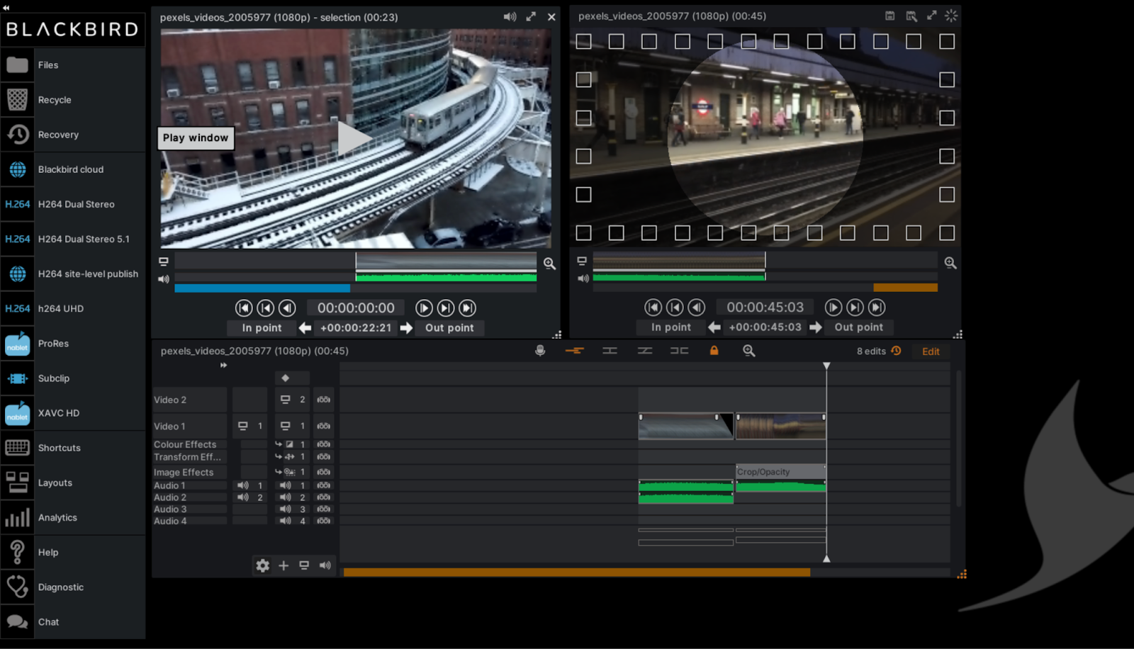 Тёмный интерфейс Blackbird Editor: Player, Recorder, Timeline и панель инструментов