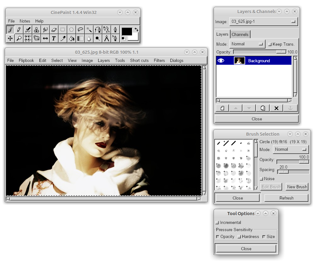 CinePaint 1.4.4 в Windows: Toolbox, окно изображения, Layers & Channels, Brush Selection и Tool Options