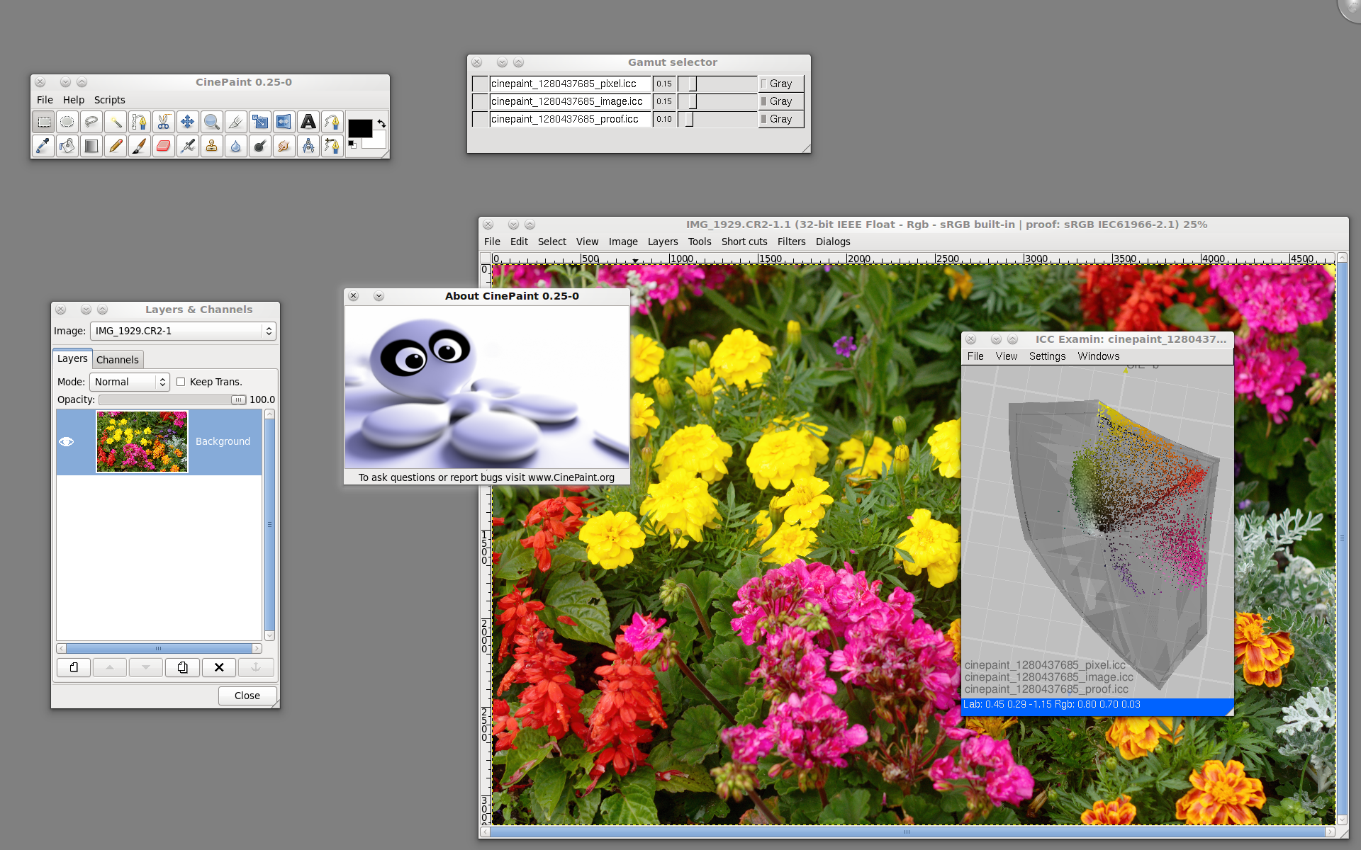 CinePaint 0.25: изображение цветов, Gamut selector, Layers & Channels и окно ICC Examin