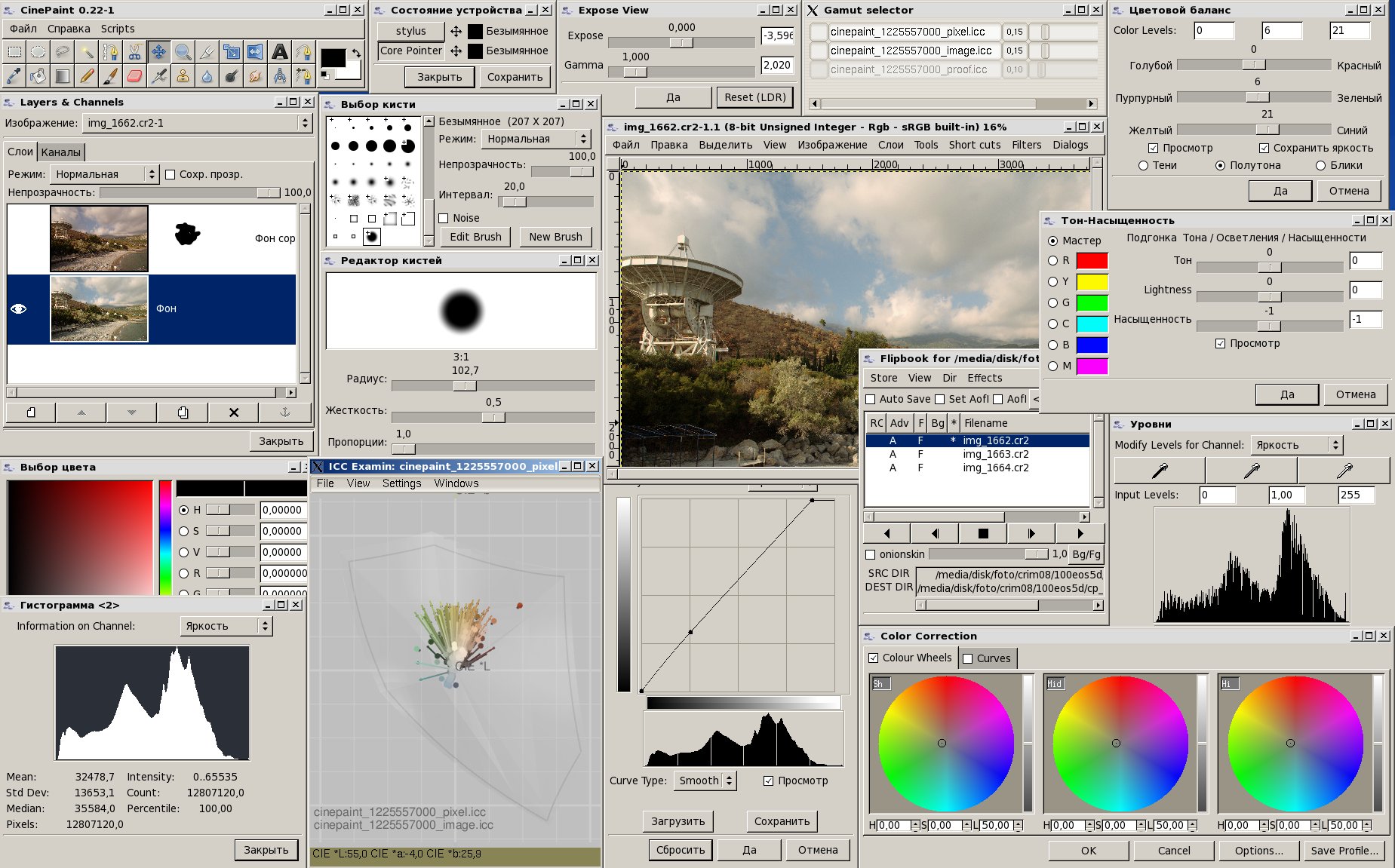 CinePaint 0.22-1: Levels, Color Balance, Hue-Saturation, Color Correction и Flipbook вокруг кадра