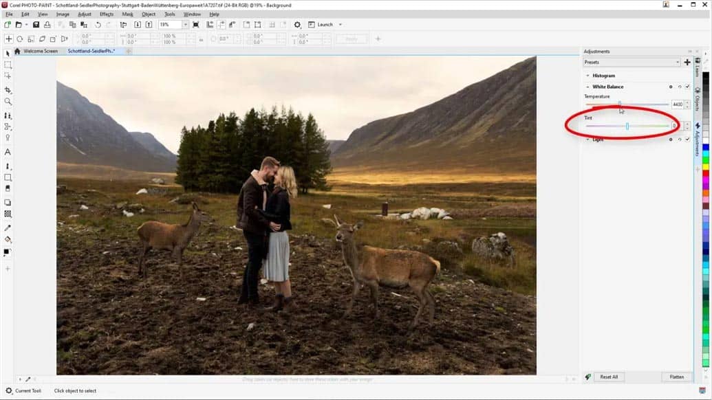 Пример применения настроек через Adjustments docker в Corel PHOTO-PAINT