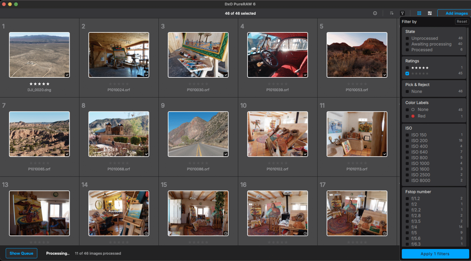 Lightbox DxO PureRAW 6 с сеткой RAW-файлов и открытой панелью фильтров