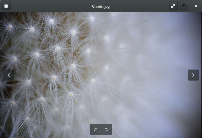 Минималистичное окно Eye of GNOME 3.16 с фотографией и экранными кнопками навигации и поворота