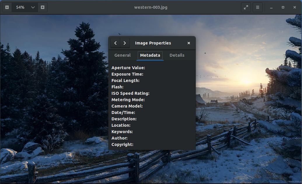 Окно Image Properties в Eye of GNOME на вкладке Metadata с полями EXIF