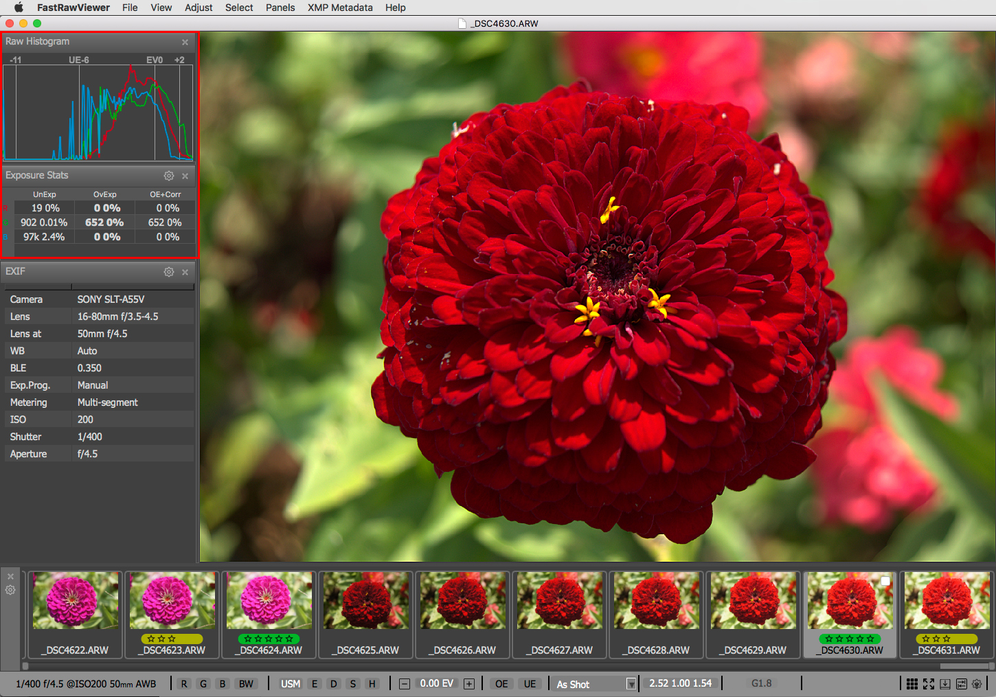 Красный цветок в FastRawViewer, рядом показаны RAW Histogram, Exposure Stats, EXIF и плёнка соседних кадров