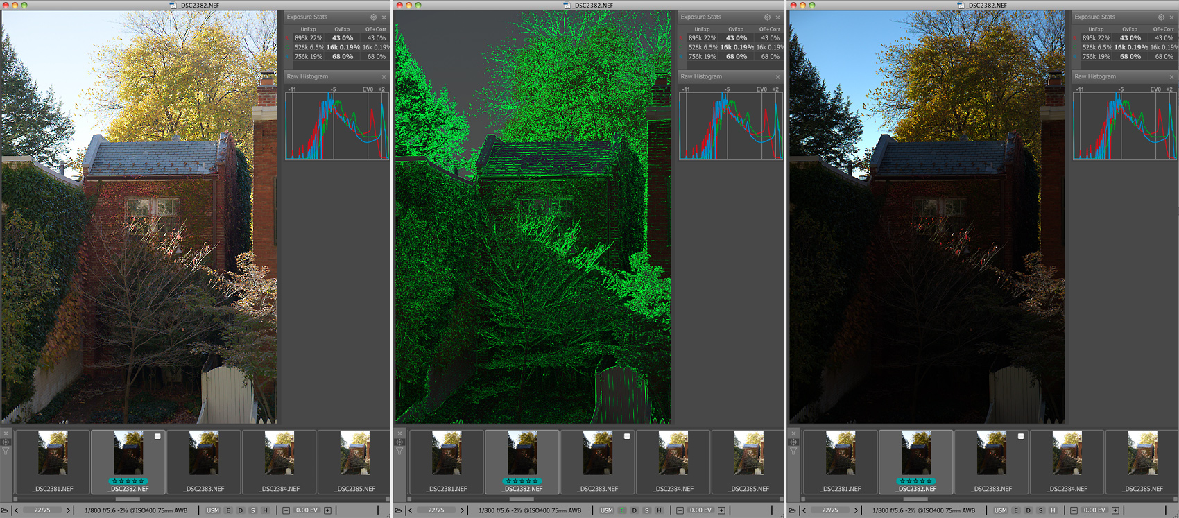 Три вида одного RAW в FastRawViewer демонстрируют Shadow Boost, Focus Peaking и Highlight Inspection