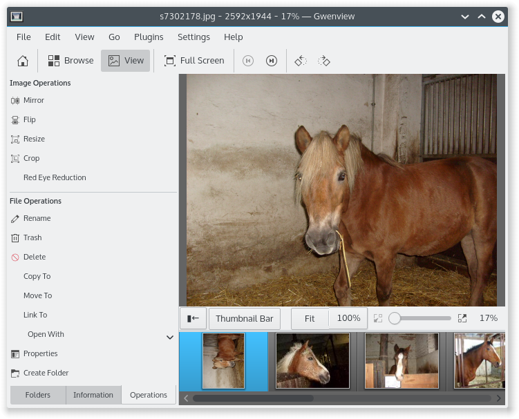 View Mode в Gwenview: крупное изображение, лента Thumbnail Bar, кнопки Fit и 100%, слева операции редактирования и с файлами.