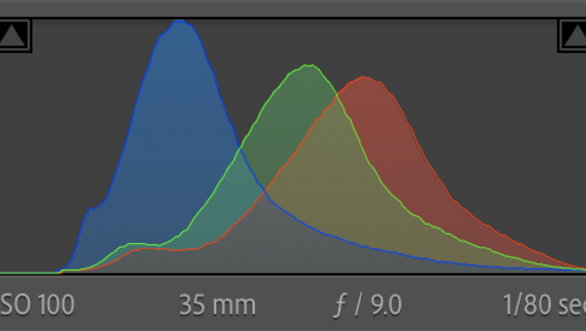 Панель Histogram в Phocus с раздельными каналами RGB и маркерами уровней