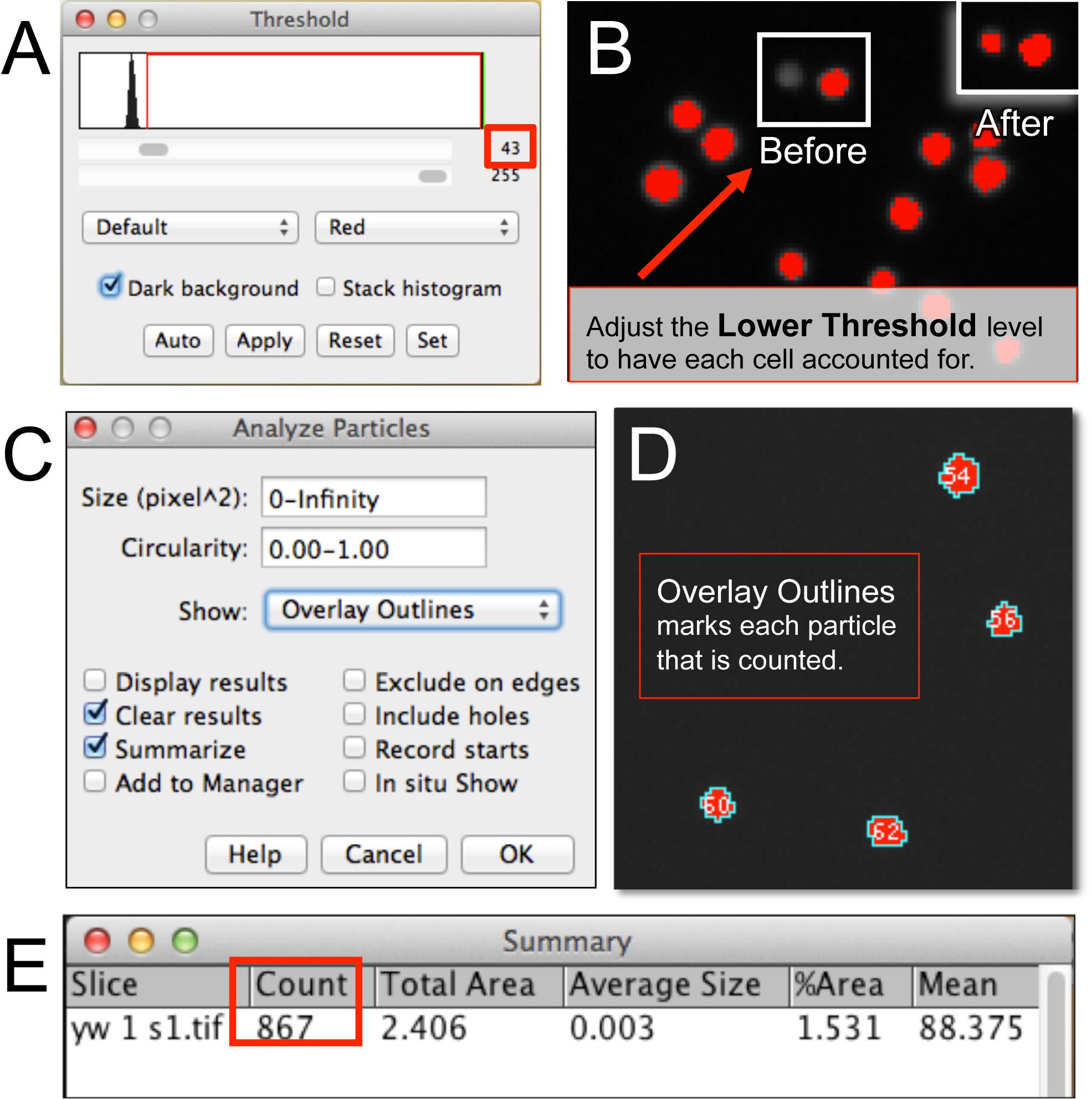 Порог, окно Analyze Particles, контуры частиц и Summary в ImageJ