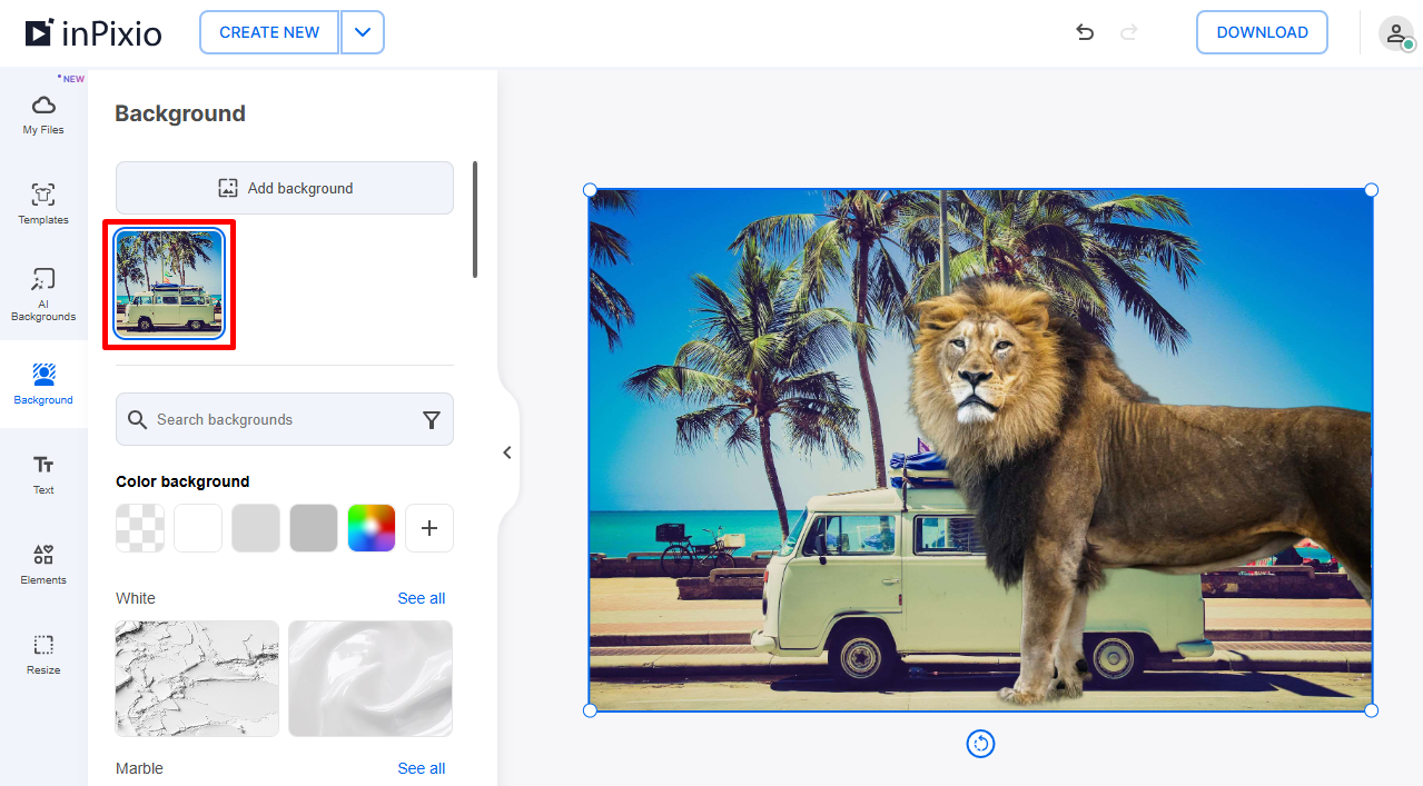 Собственный фон применён к вырезанному объекту в InPixio Online Photo Editor
