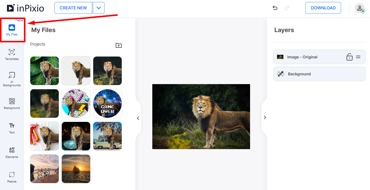 Раздел My Files с сохранёнными проектами InPixio Online Photo Editor