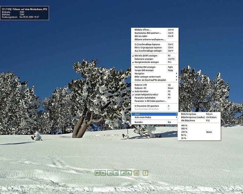 JPEGView с открытым контекстным меню и подменю масштабирования поверх фотографии заснеженного дерева