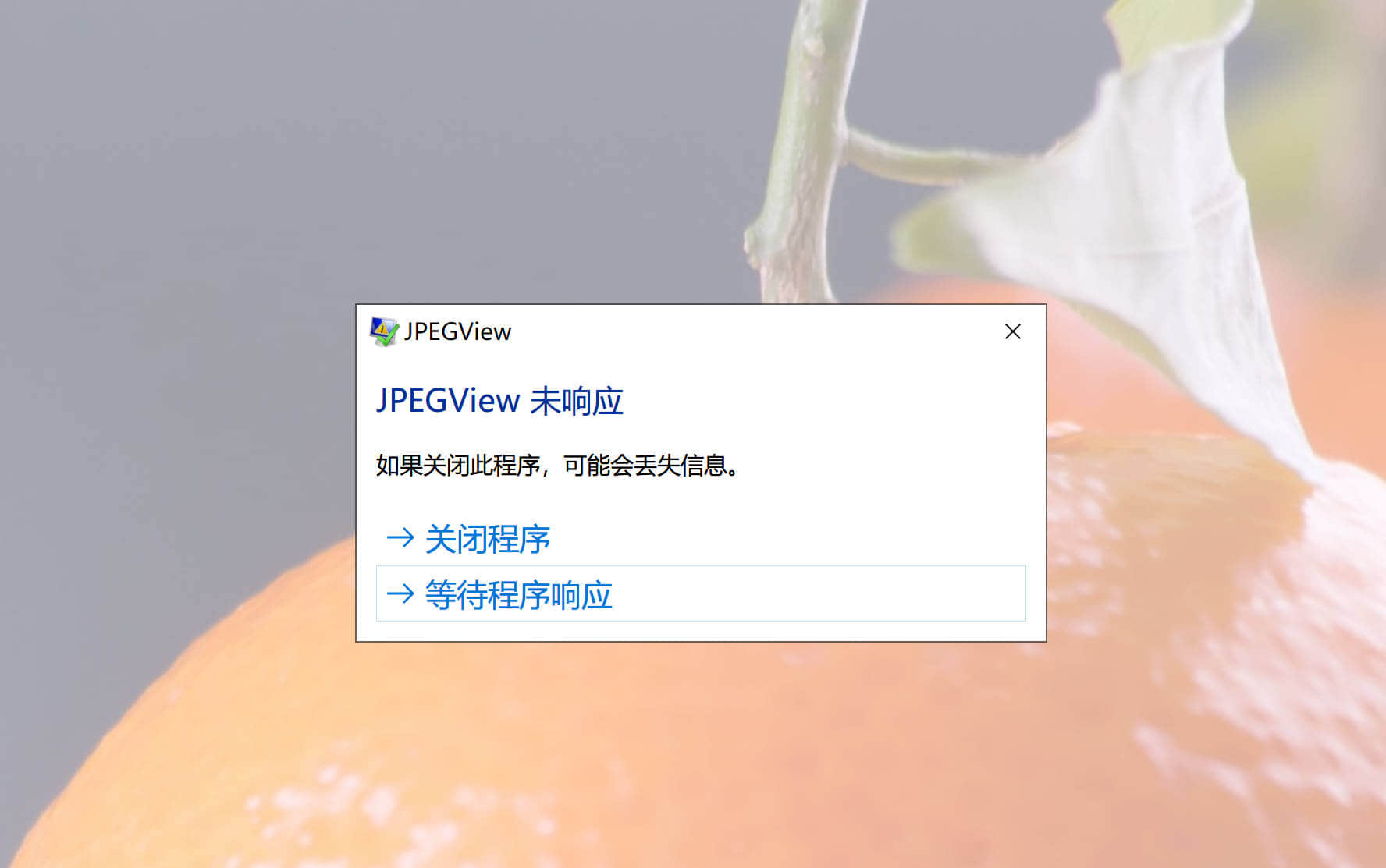 JPEGView с системным диалогом Windows о зависшем приложении поверх увеличенного изображения