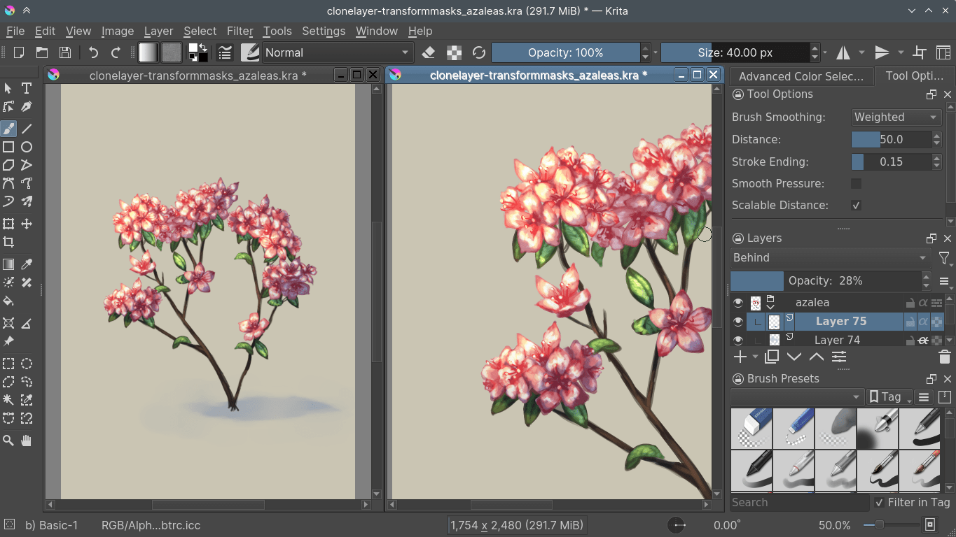 Два представления одного документа Krita с разным масштабом и панелью Tool Options