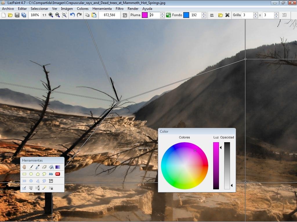 LazPaint с фотографией и наложенной сеткой деформации с управляющими линиями и узлами