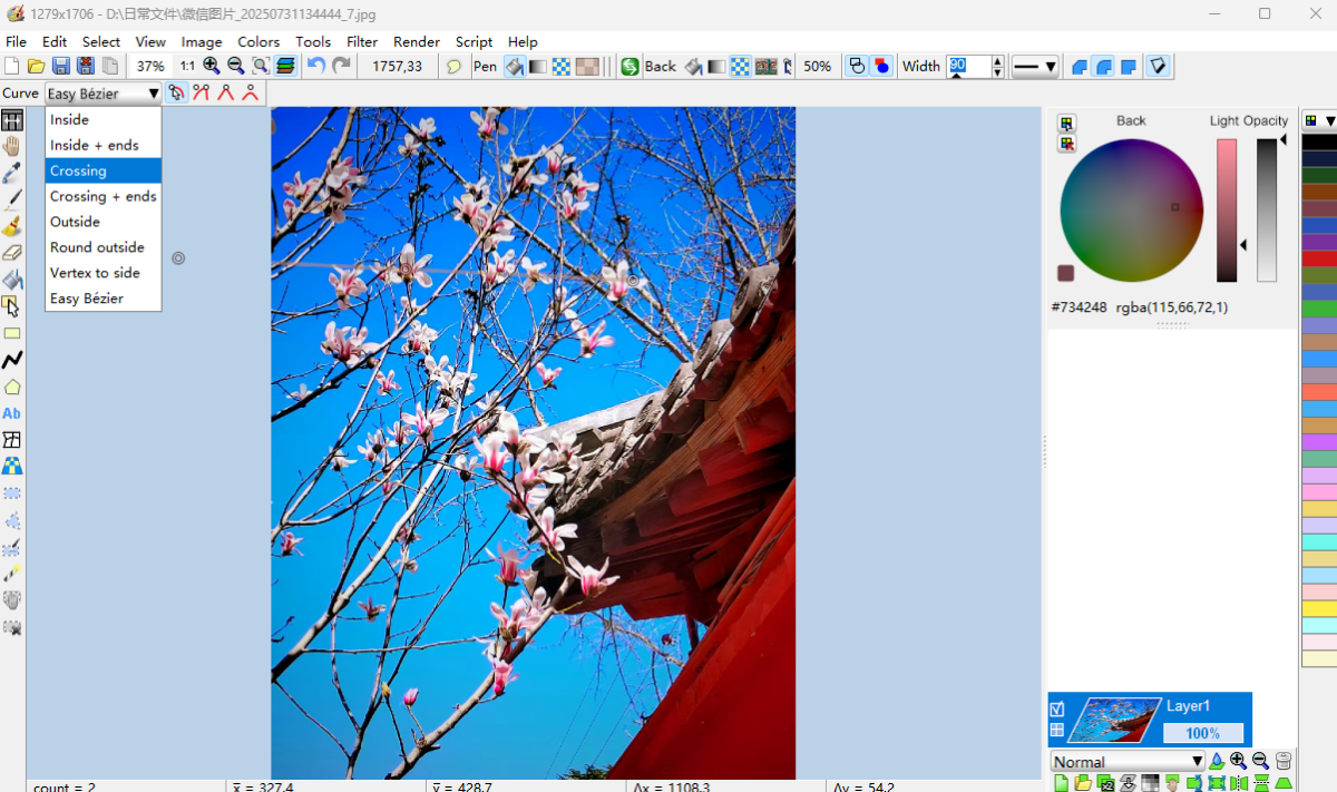 LazPaint с открытой фотографией и выпадающим списком типов кривой Easy Bézier в панели инструмента Curve