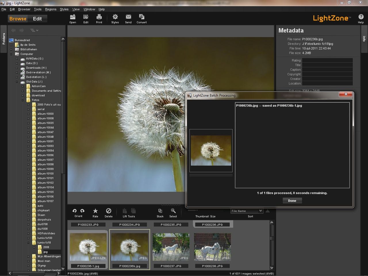 Панель Styles LightZone и результат применения готового набора обработки