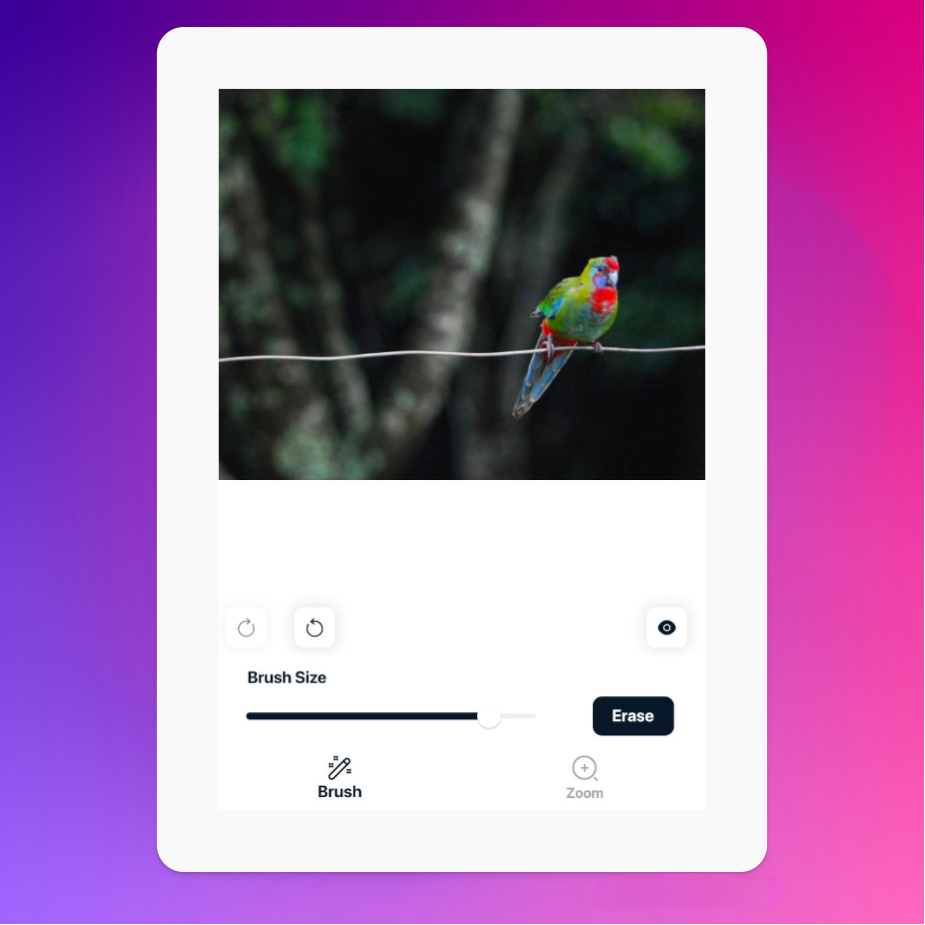 Результат Magic Eraser после удаления летящего объекта с фотографии попугая