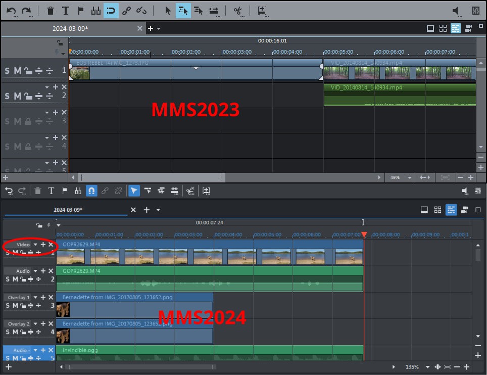 Дорожки и заголовки треков в рабочем окне MAGIX Movie Studio