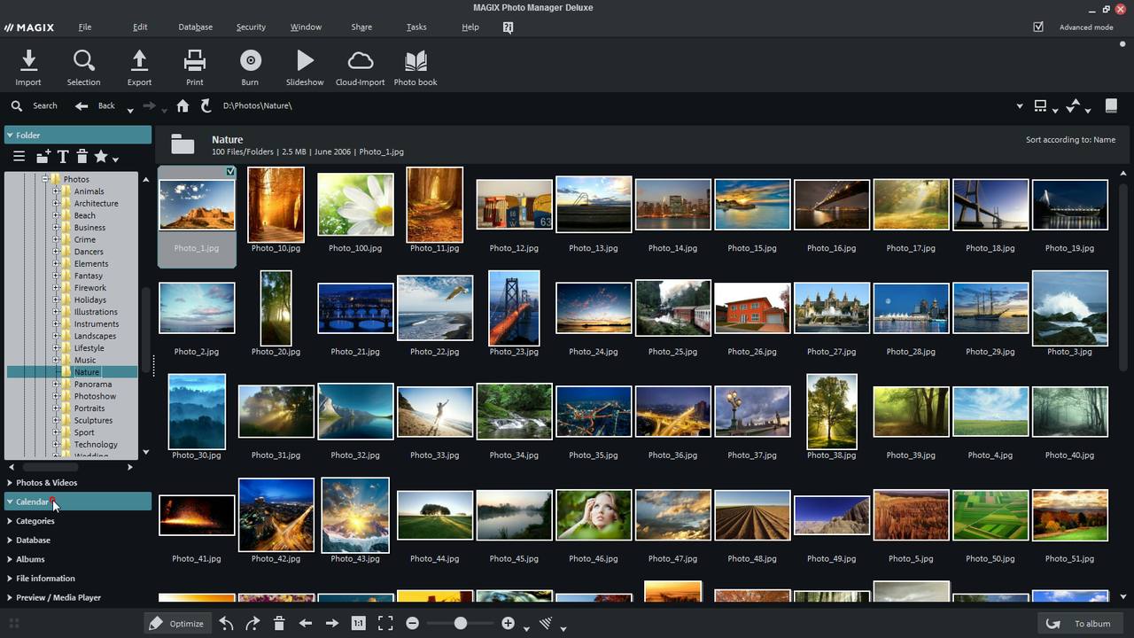 Главное окно MAGIX Photo Manager Deluxe с деревом категорий и сеткой миниатюр природы