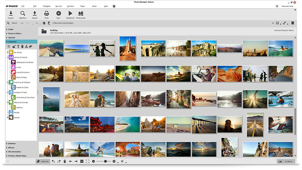 Светлая тема MAGIX Photo Manager Deluxe с папками, категориями и сеткой фотографий