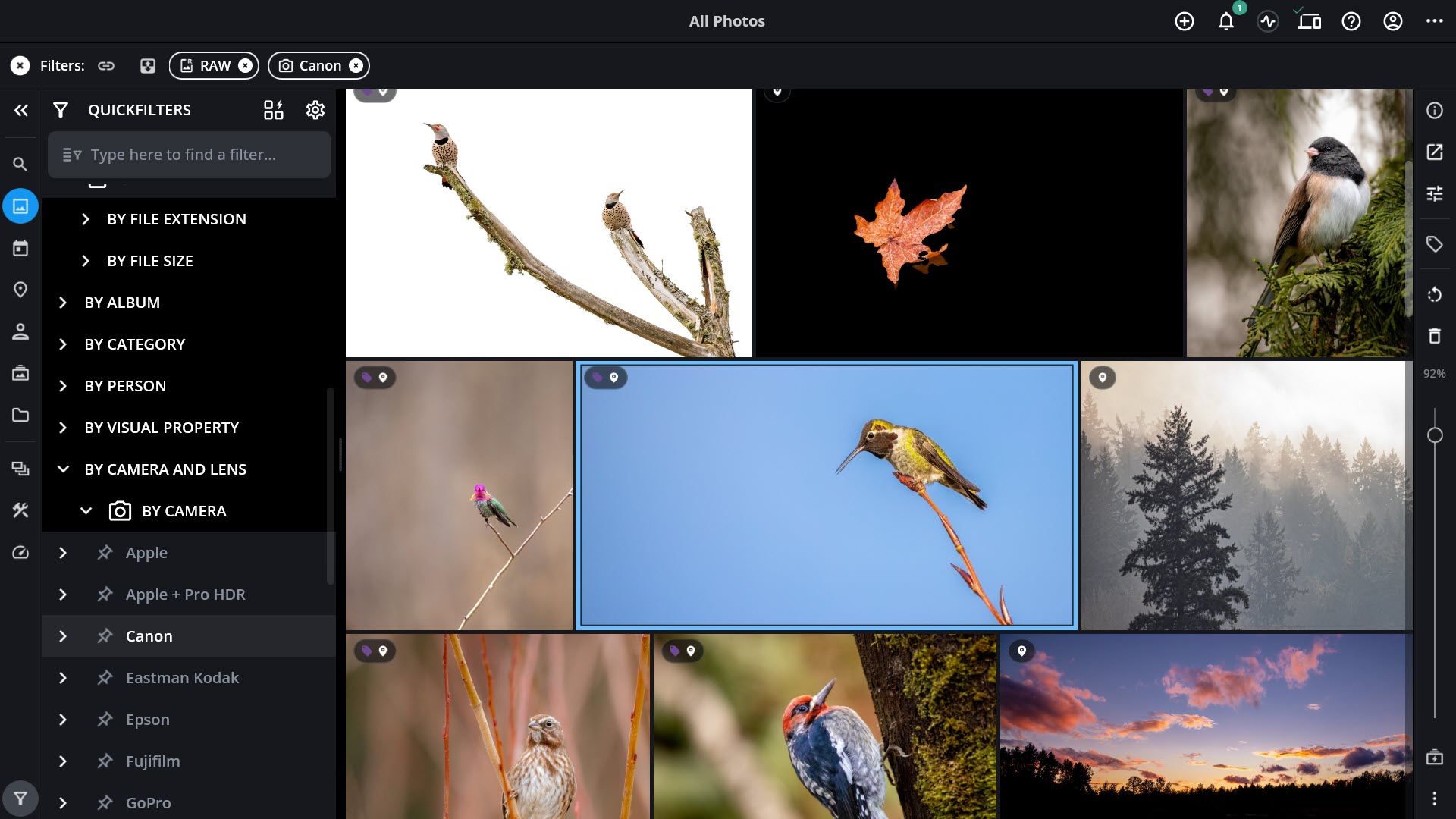 All Photos с фильтрами RAW и Canon и панелью QuickFilters по камере