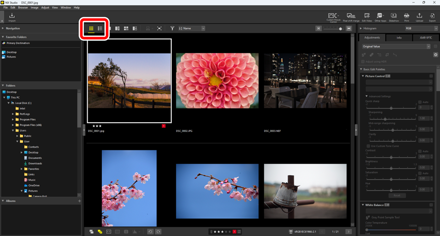 Просмотр снимка в интерфейсе Nikon NX Studio