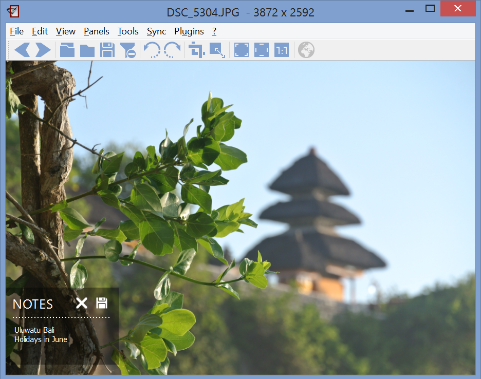 Панель Image Notes поверх фотографии в nomacs
