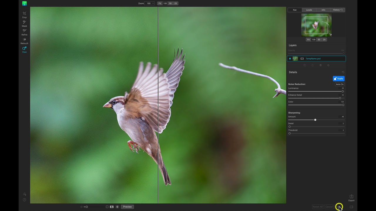 Интерфейс ON1 NoNoise AI при использовании программы как плагина Adobe Photoshop.
