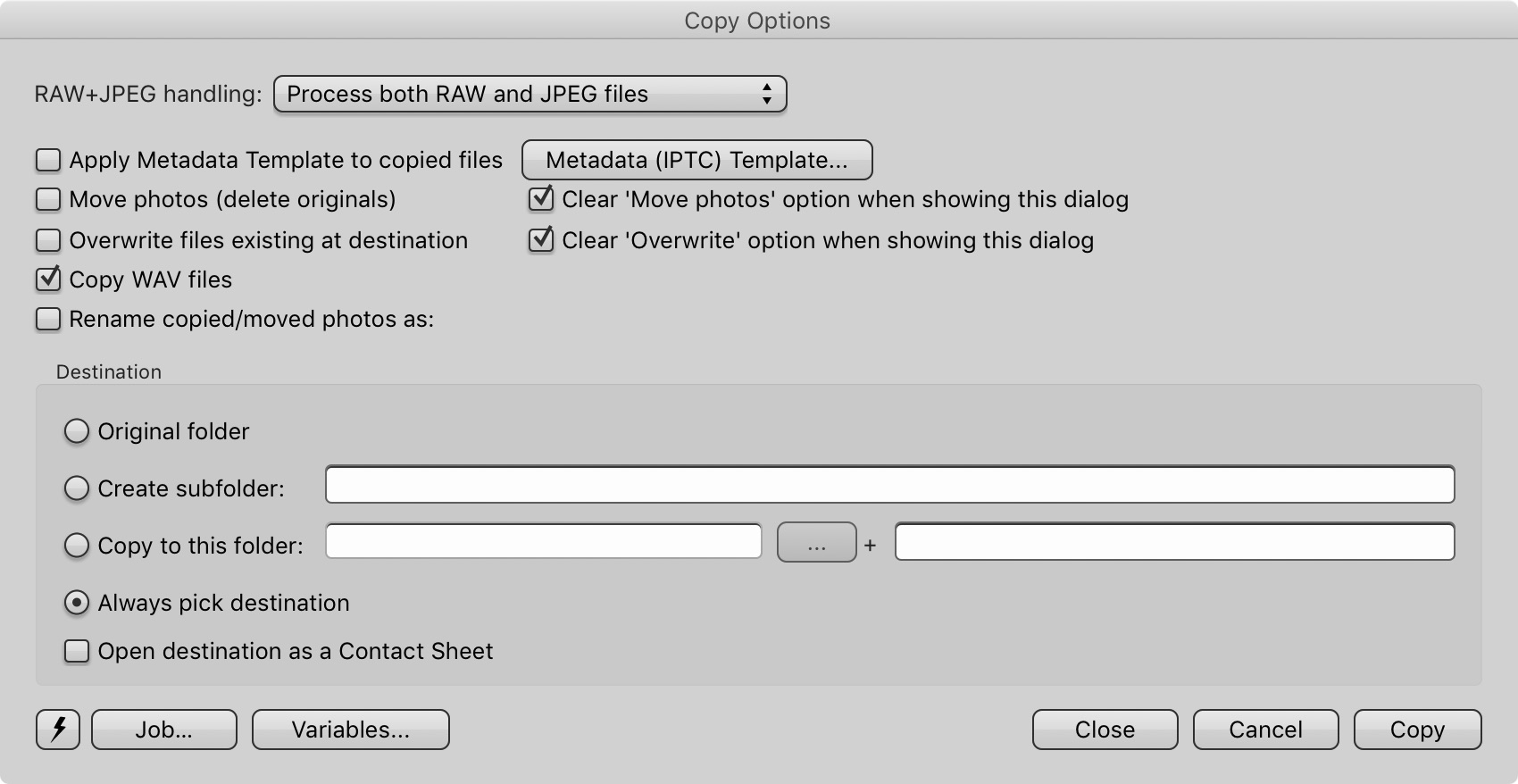 Окно Copy Options с параметрами копирования, назначения и связанных файлов