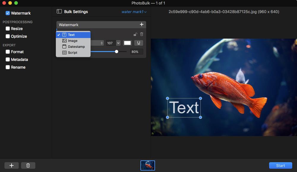 PhotoBulk с раскрытым списком типов водяного знака Text, Image, Datestamp и Script