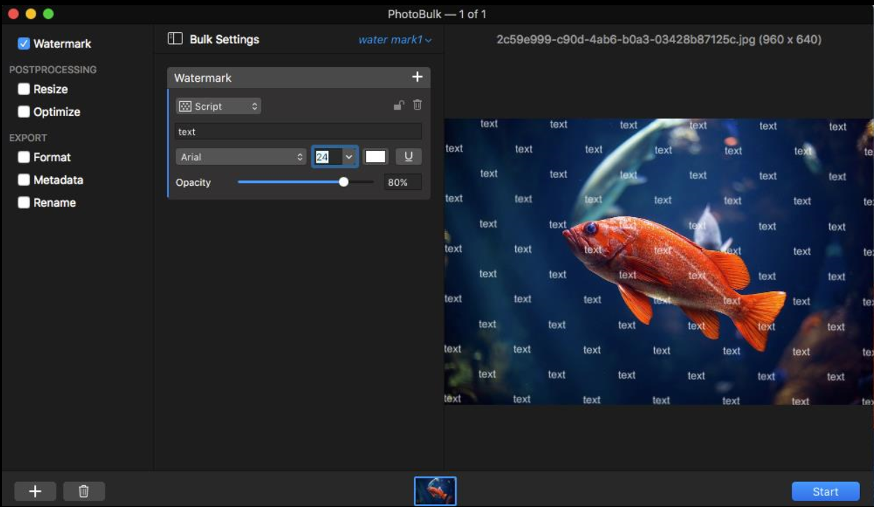 Режим Script в PhotoBulk с повторяющейся текстовой сеткой поверх изображения