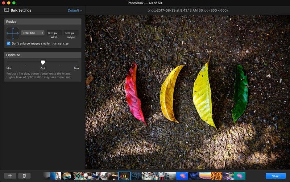 PhotoBulk с включёнными Resize и Optimize и галереей миниатюр в нижней части окна