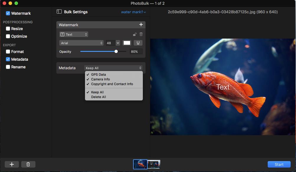 PhotoBulk с раскрытым меню Metadata: GPS Data, Camera Info, Copyright and Contact Info, Keep All и Delete All