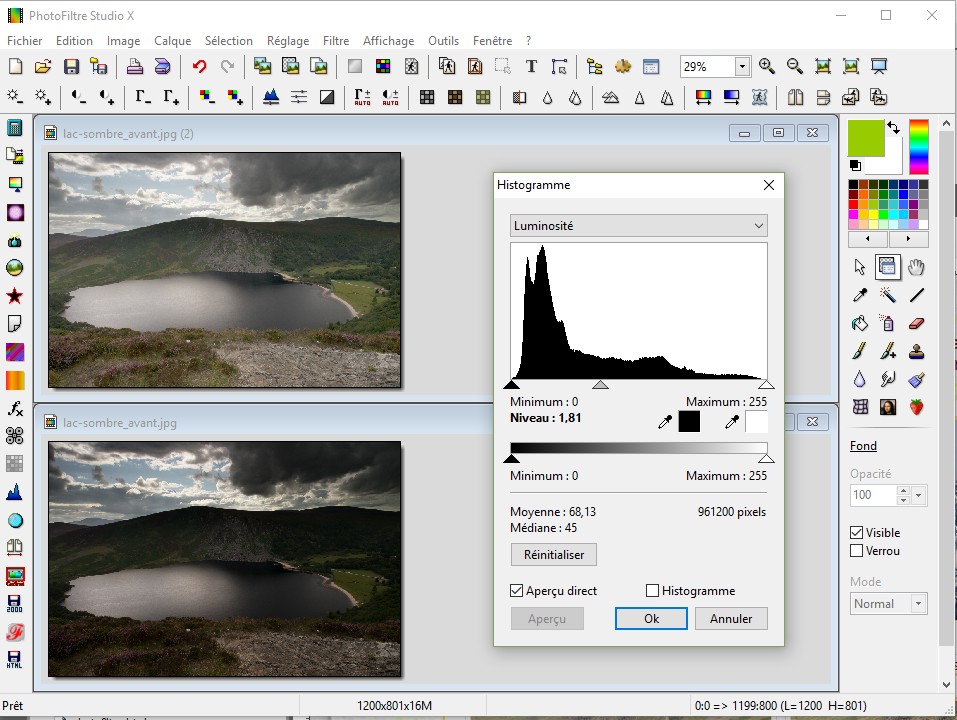 Диалог Histogram в PhotoFiltre Studio X поверх тёмной фотографии озера