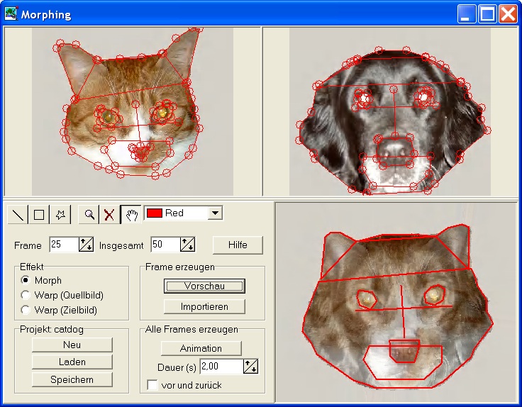Окно Morphing с двумя исходными изображениями, опорными точками и промежуточным кадром