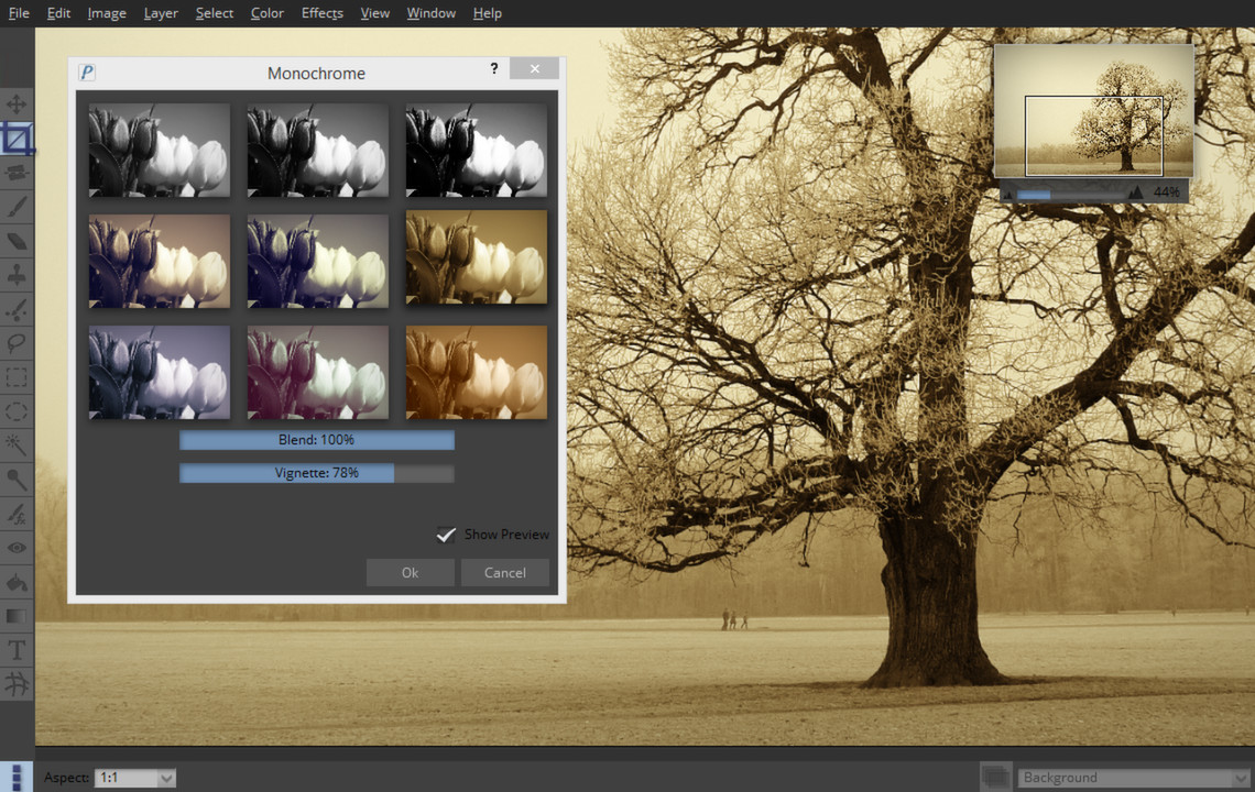 Окно Monochrome в Pixeluvo с девятью вариантами тонирования, Blend и Vignette
