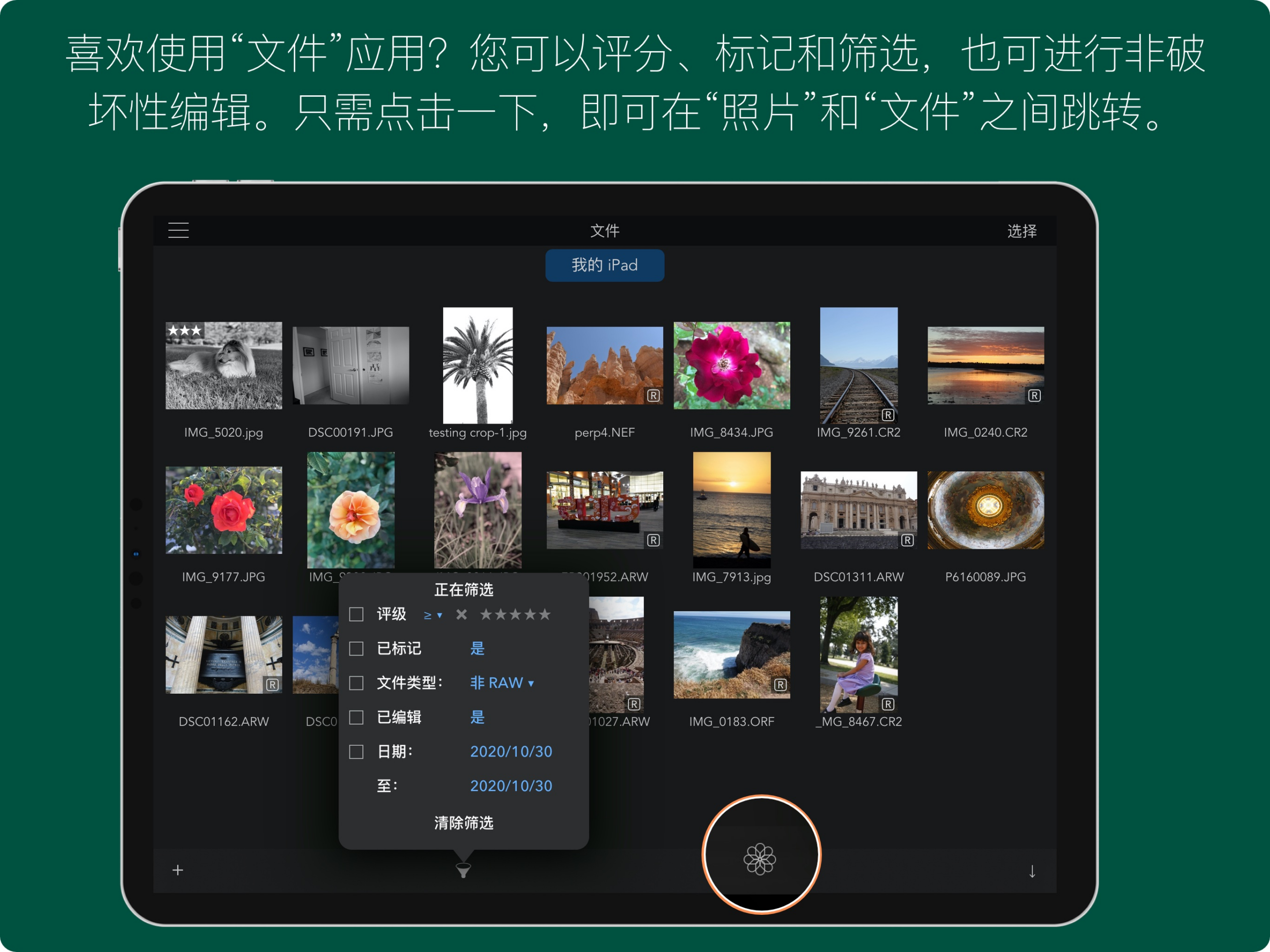 Файловый браузер RAW Power на iPad с сеткой RAW и раскрытым фильтром