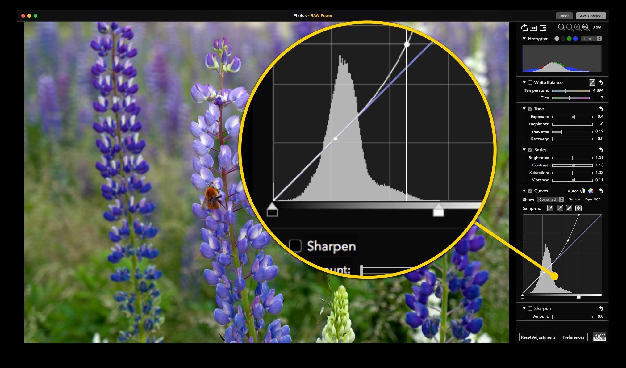 Панель Curves в расширении RAW Power внутри Apple Photos