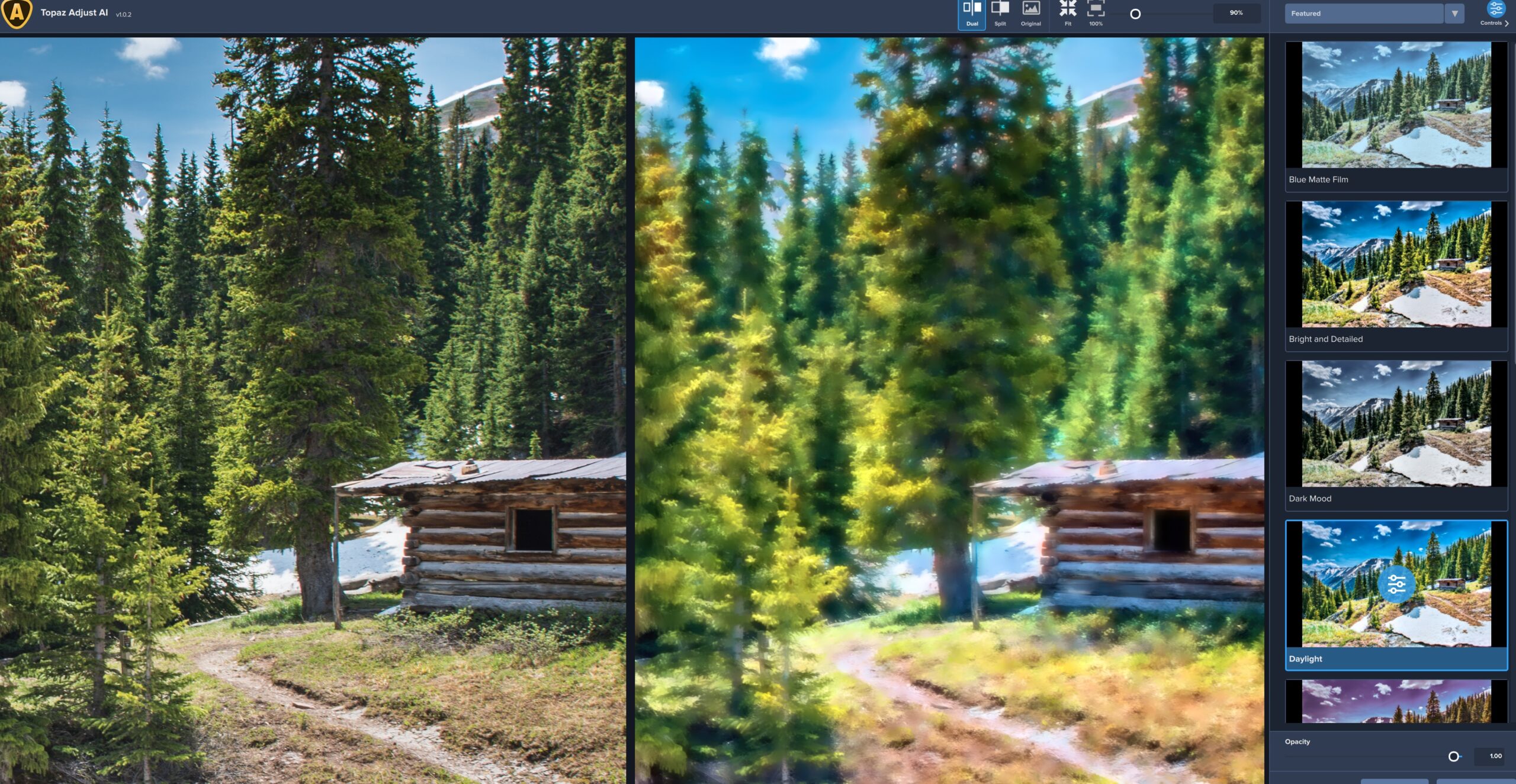 Topaz Adjust AI с размытым предпросмотром и открытой колонкой пресетов на примере лесного пейзажа