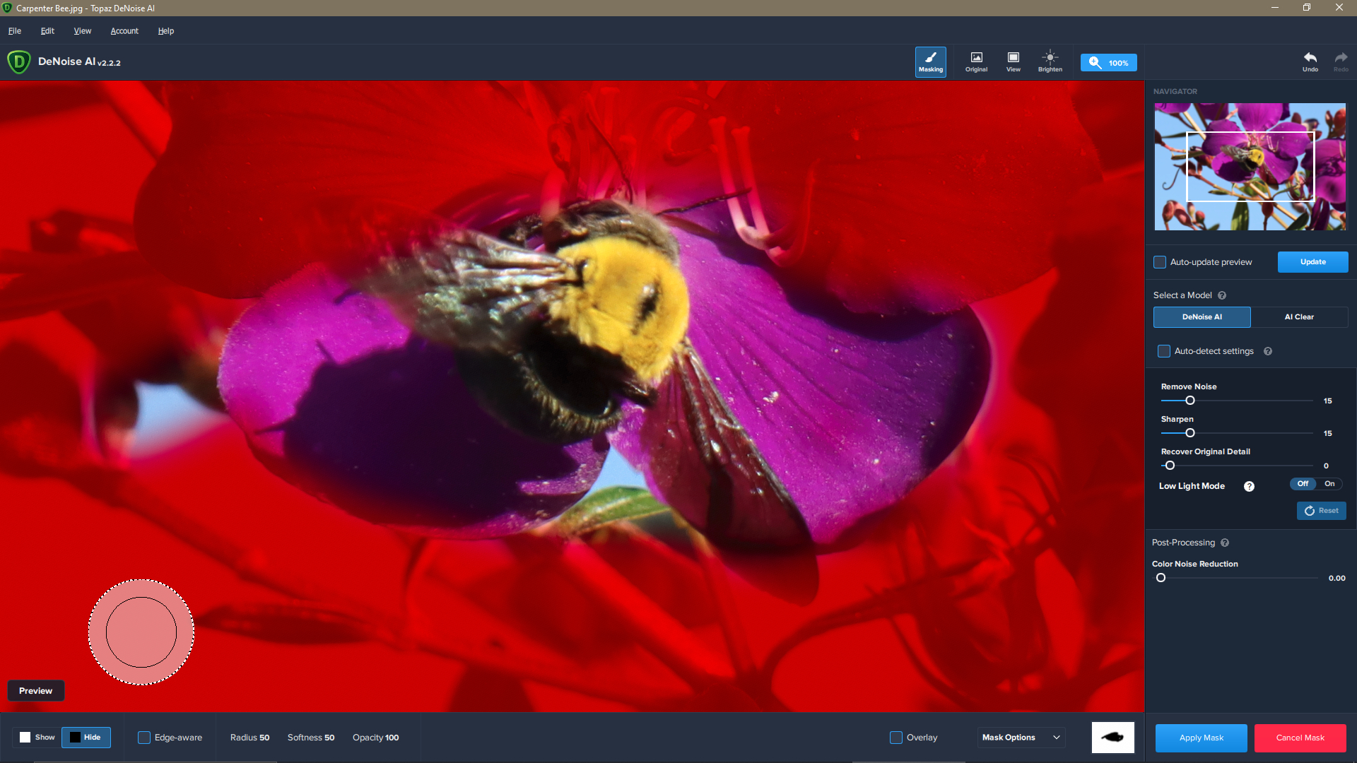 Маскирование в Topaz DeNoise AI: красный overlay поверх фотографии, кисть и панель настроек эффекта.