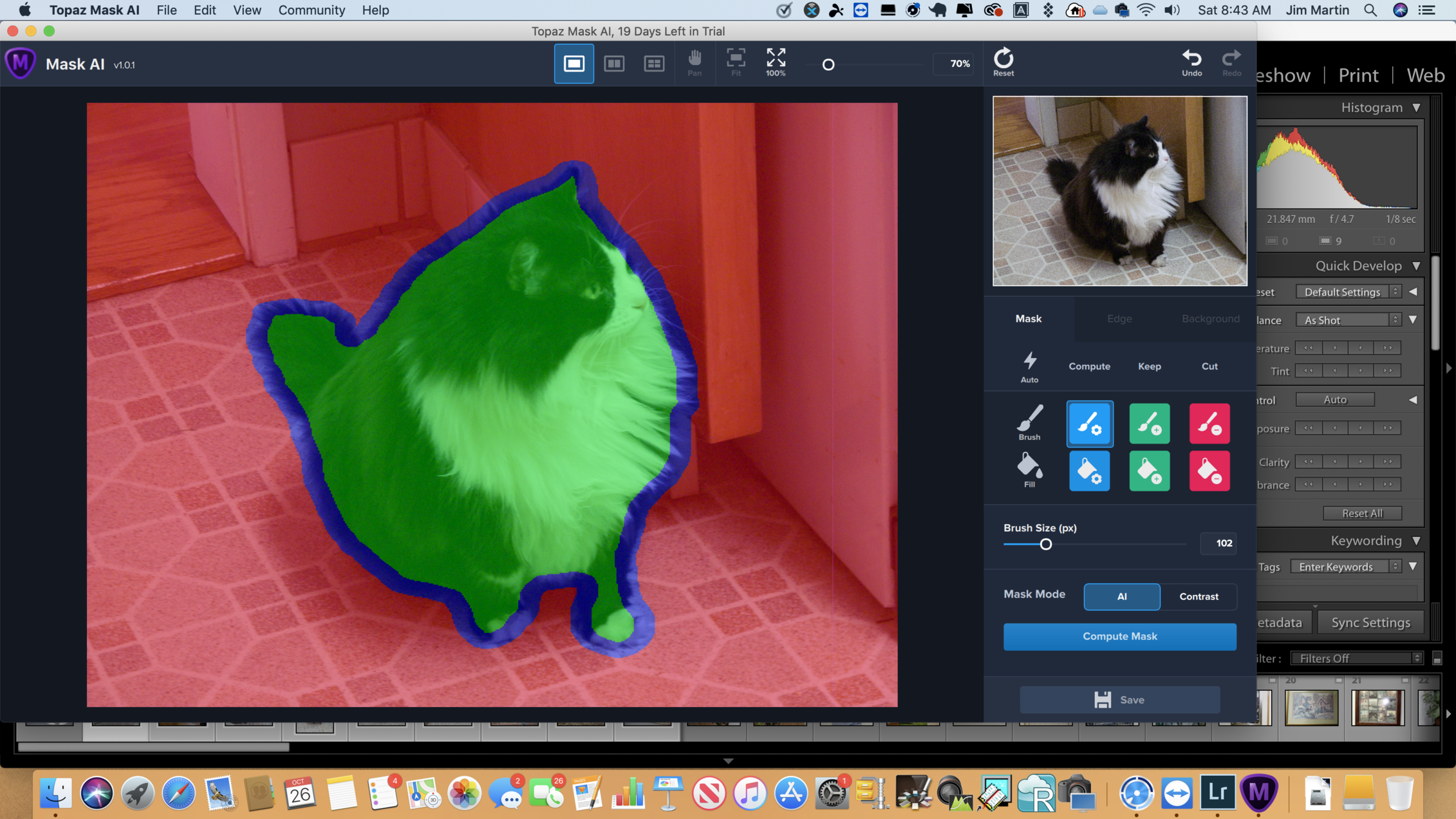 Окно Topaz Mask AI с разметкой кота и панелью Mask