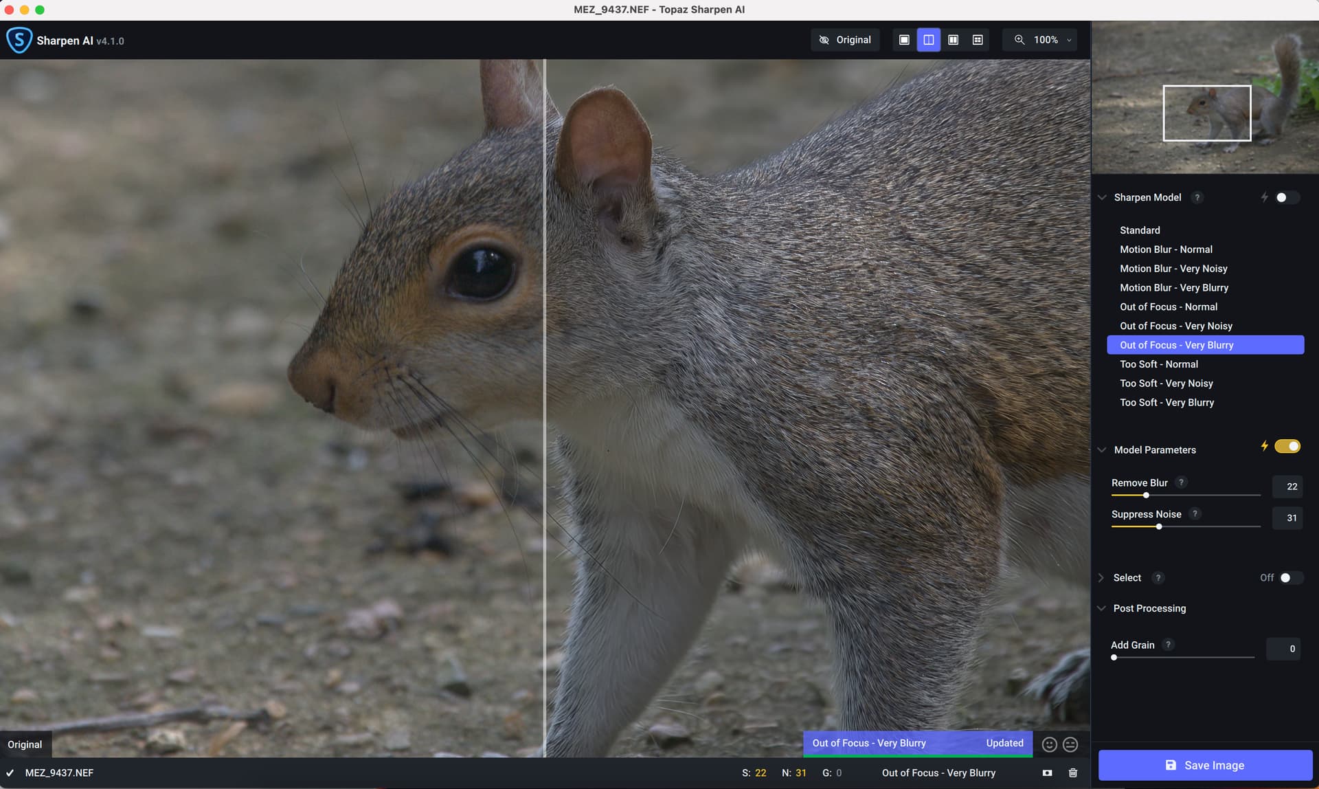 Sharpen AI 4.1.0: список Standard, Motion Blur, Out of Focus и Too Soft на снимке белки
