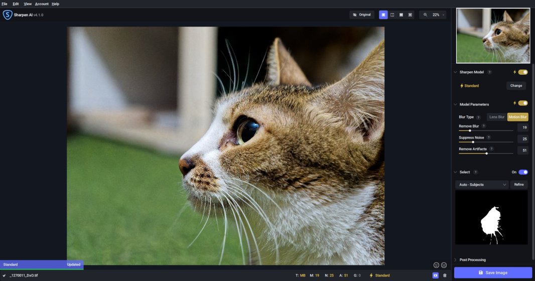Sharpen AI 4.1.0 со Standard, Blur Type, Remove Blur, Suppress Noise, Remove Artifacts и Auto-Subjects