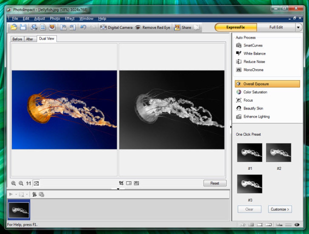 ExpressFix в PhotoImpact X3 с режимом Dual View на снимке медузы